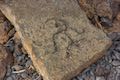 Malama Trail Puako Petroglyphs