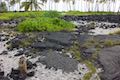 Puuhonua heiau site