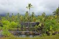 Puuhonua anchialine pool