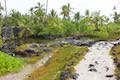 Puuhonua anchialine pool