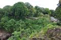 Rainbow Falls Hilo