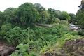 Rainbow Falls Hilo