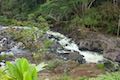 Boiling Pots Wailuku River