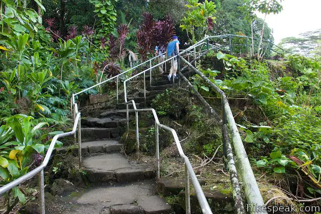 Rainbow Falls Trail