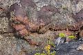 Keanakakoi Overlook Kilauea Vent