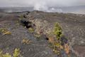 Keanakakoi Overlook Fissure Kilauea