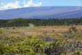 Mauna Loa Volcano Crater Rim Drive
