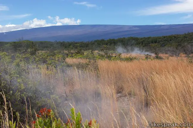 Steam Vents Hawaii Volcanoes National Park