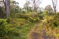 Kipukapuaulu Trail