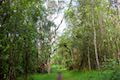 Kipukapuaulu Trail Nature Trail