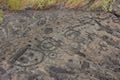 Pu‘u Loa Petroglyphs Boardwalk