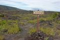 Pu‘u Loa Trail Hawaii Volcanoes National Park