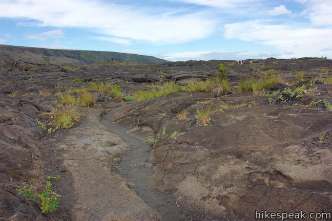 Petroglyphs Trail