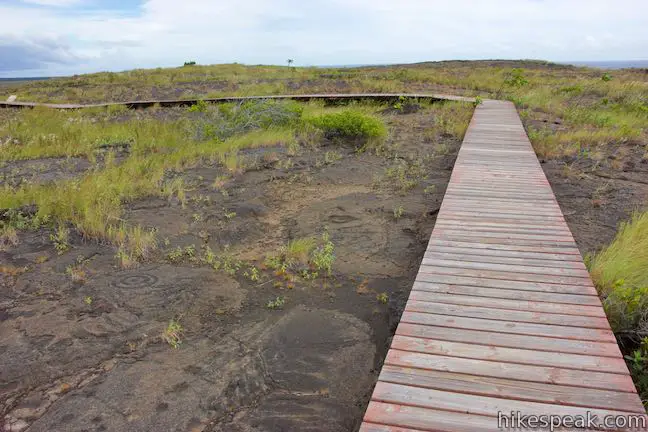 Pu‘u Loa Petroglyphs Trail Hawaii Volcanoes National Park