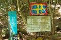 Muliwai Trail Maimanu Trail