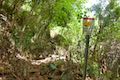 Muliwai Trail