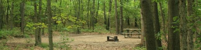 Indiana Dunes National Park Camping Indiana Dunes National Lakeshore camping Dunewood Campground