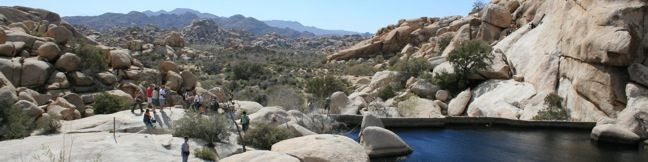 Joshua Tree Barker Dam Hike joshua Tree National Park Trail desert reservoir dam look hike