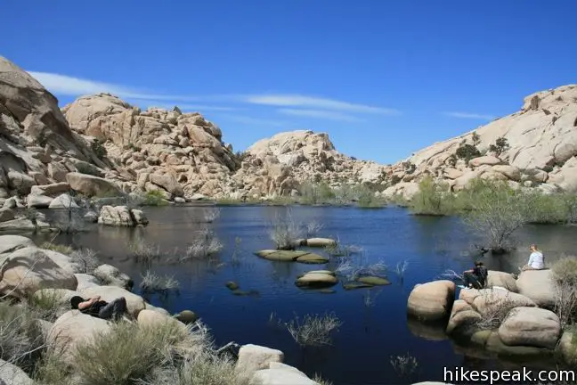 This 1.5-mile loop visits a small foreign-looking reservoir within the Wonderland of Rocks in Joshua Tree National Park.