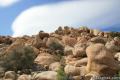 Barker Dam Joshua Tree