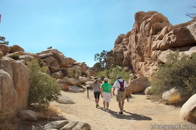 Joshua Tree