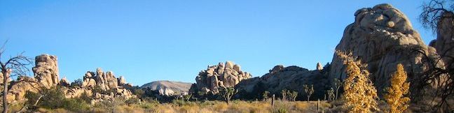 Hidden Valley Trail Joshua Tree National Park hike California