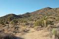 High View Nature Trail Joshua Tree