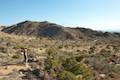 High View Nature Trail Joshua Tree