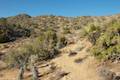 High View Nature Trail Joshua Tree