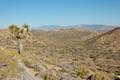 High View Nature Trail Joshua Tree