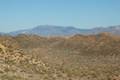 High View Nature Trail Joshua Tree