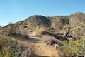 High View Nature Trail Joshua Tree