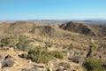 High View Nature Trail Joshua Tree