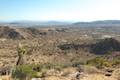 High View Nature Trail Joshua Tree