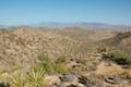 High View Nature Trail Joshua Tree