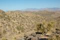 High View Nature Trail Joshua Tree