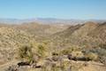 High View Nature Trail Joshua Tree