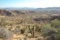 High View Nature Trail Joshua Tree