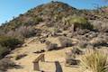 High View Nature Trail Joshua Tree