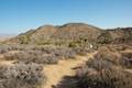 High View Nature Trail Joshua Tree