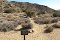 High View Nature Trail Joshua Tree