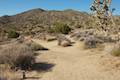 High View Nature Trail Joshua Tree