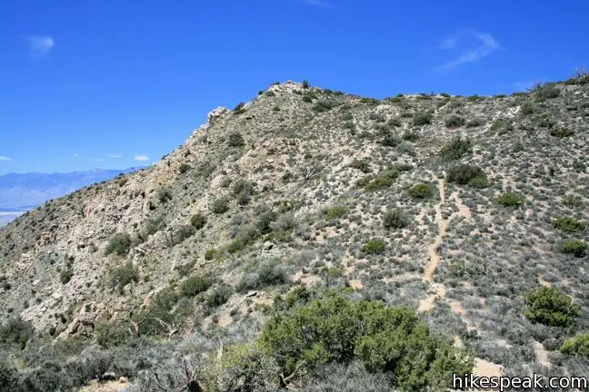 Joshua Tree Inspiration Peak