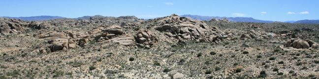 Lucky Boy Vista Trail Joshua Tree Lucky Boy Vista Hike