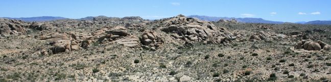 Joshua Tree Lucky Boy Vista Hike