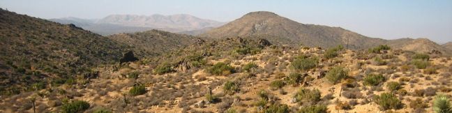 Lost Horse Mine Trail Joshua Tree National Park Hike California