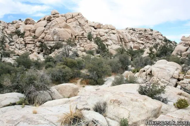 Joshua Tree Wonderland Wash Trail