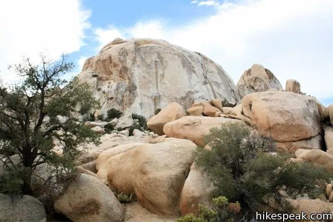 Joshua Tree Wonderland Wash Astro Dome