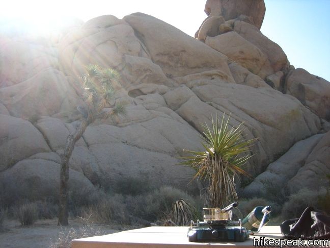 cottonwood campground joshua tree elevation