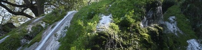 Rose Valley Falls Trail Los Padres National Forest Waterfall Hike Ojai Rose Valley Campground